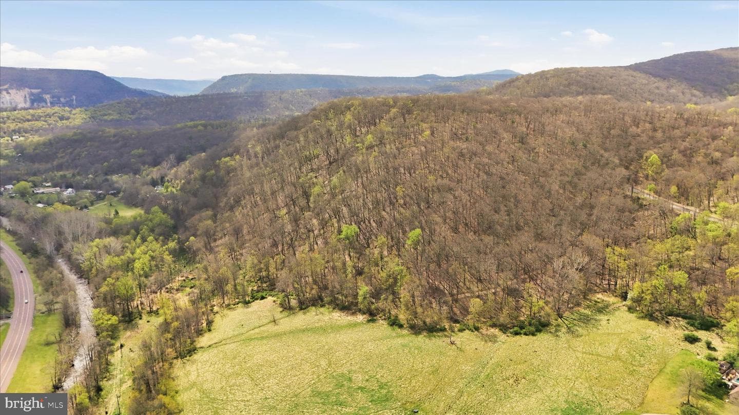 12623 Windy Ridge Drive photo 63