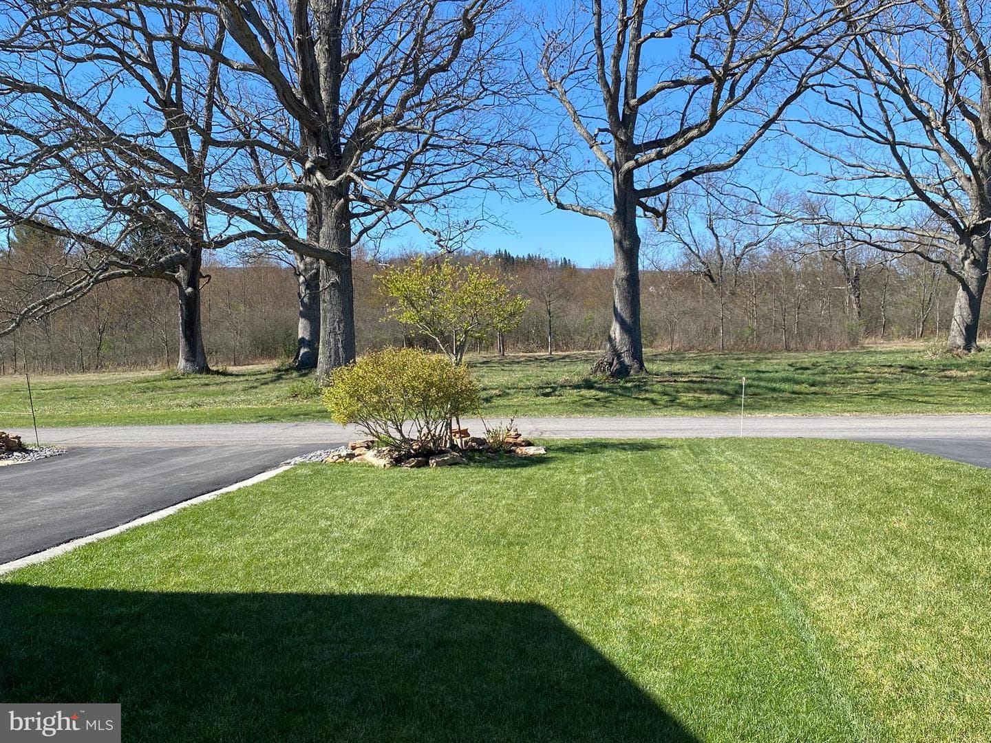 111 Candlewick Court photo 27