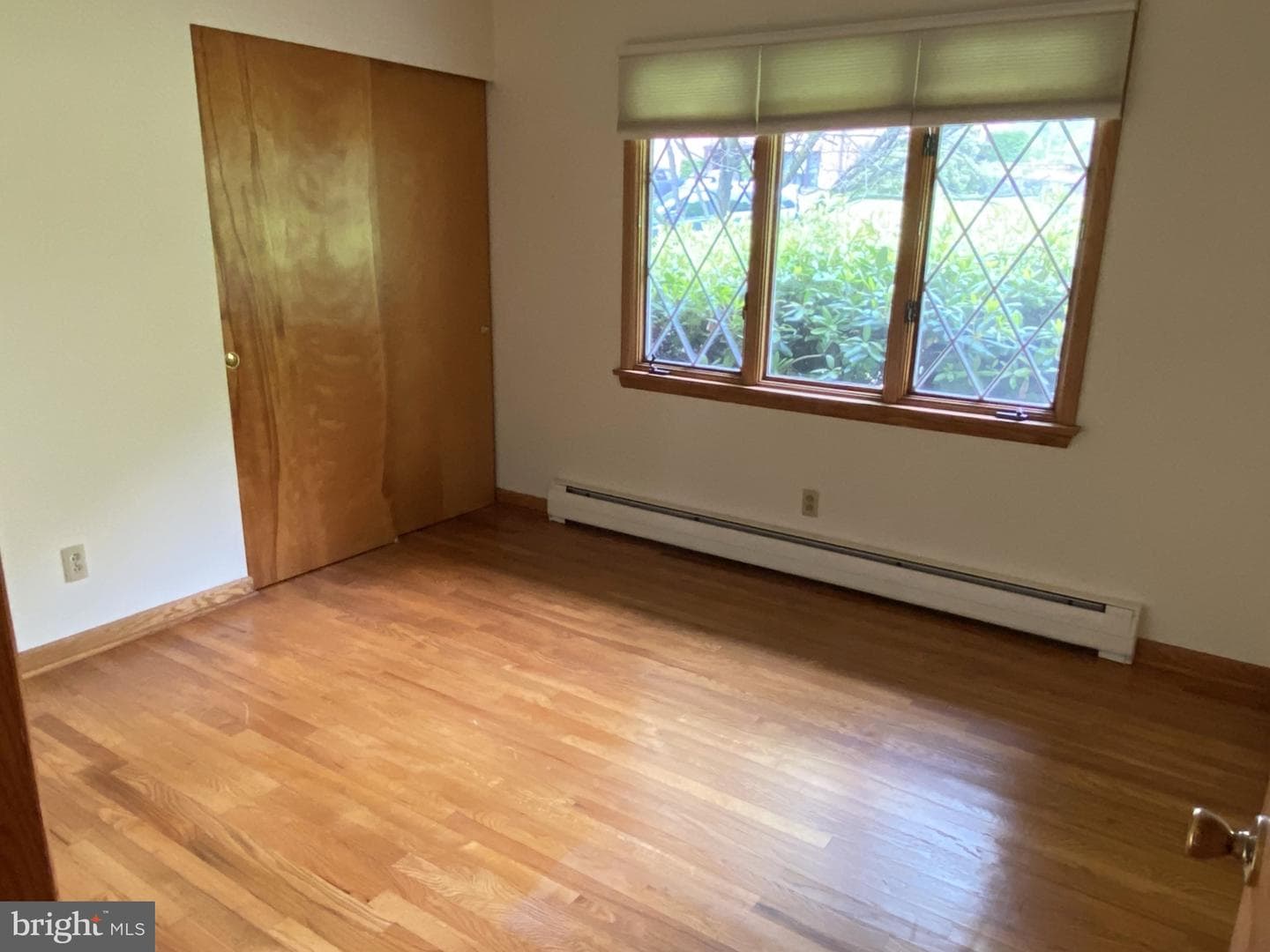 54 Hawthorne Drive photo 17