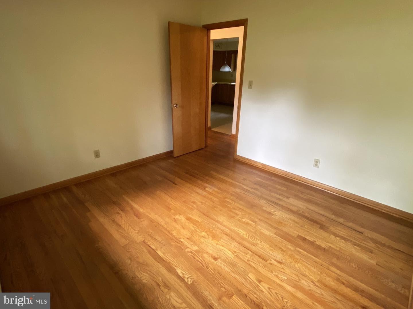 54 Hawthorne Drive photo 18