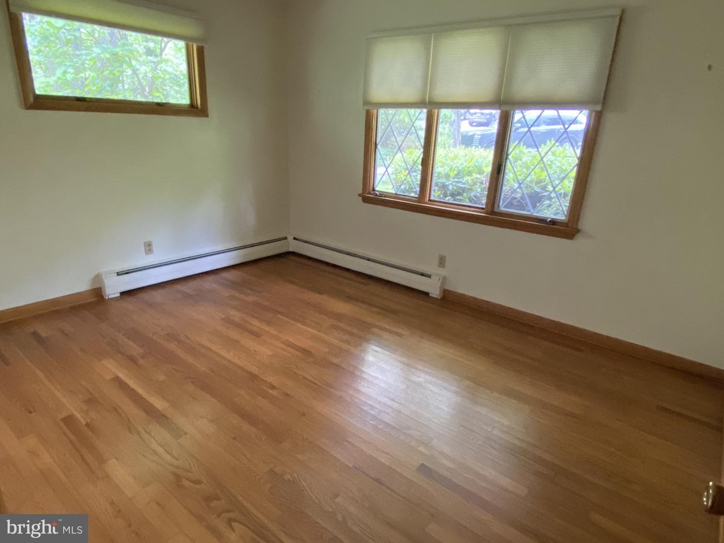 54 Hawthorne Drive photo 20