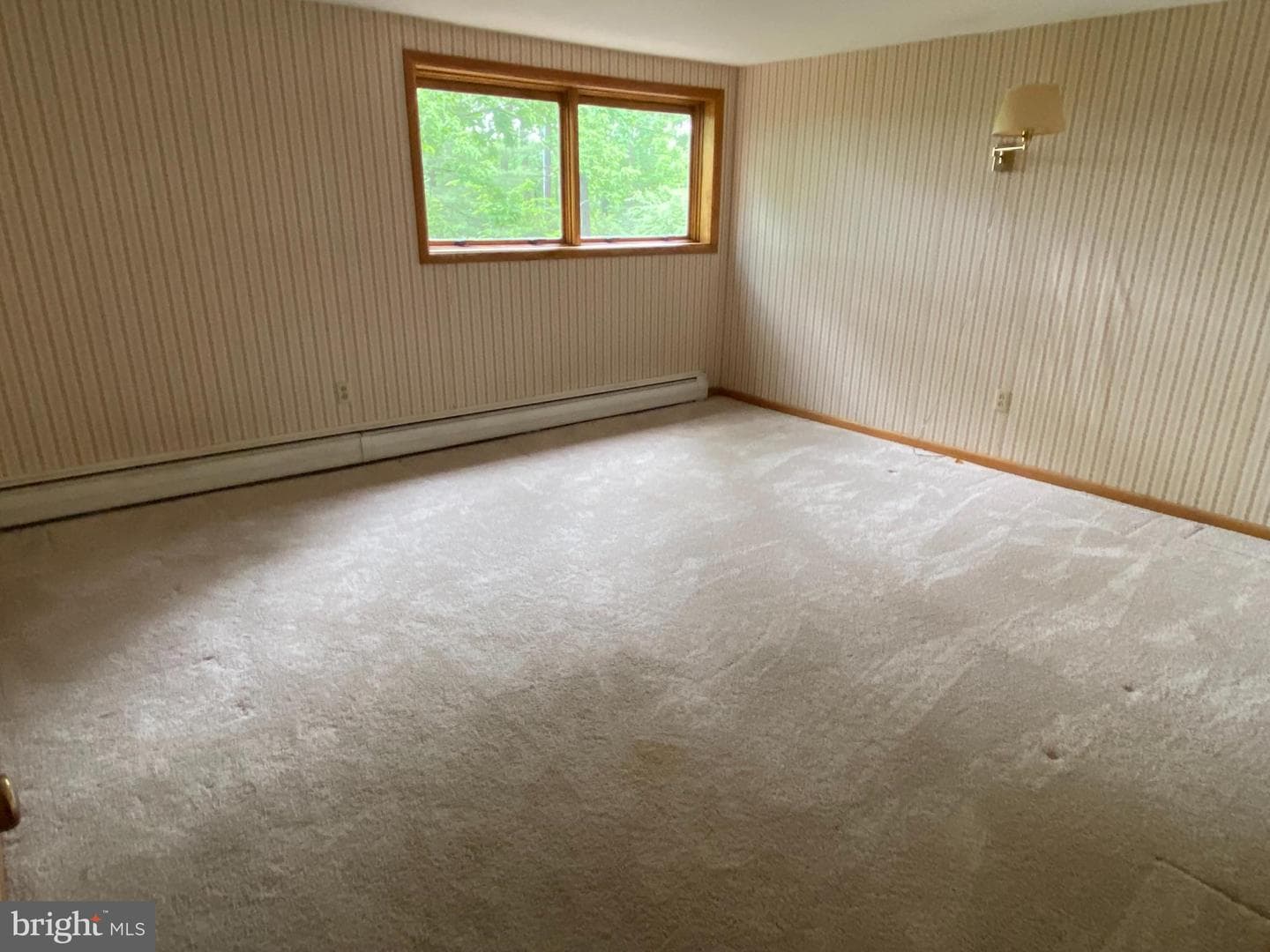 54 Hawthorne Drive photo 35