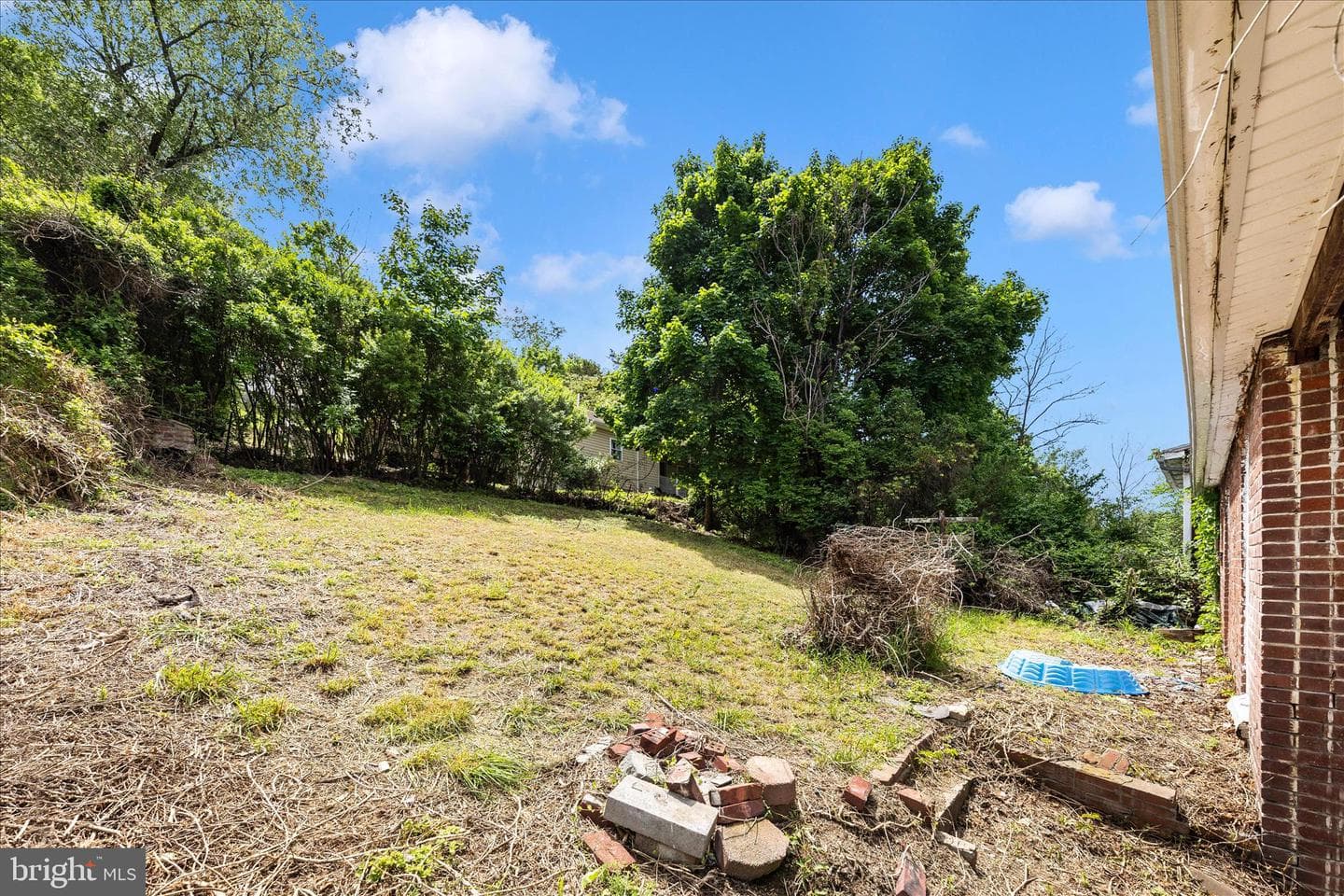 439 Waverly Terrace photo 16