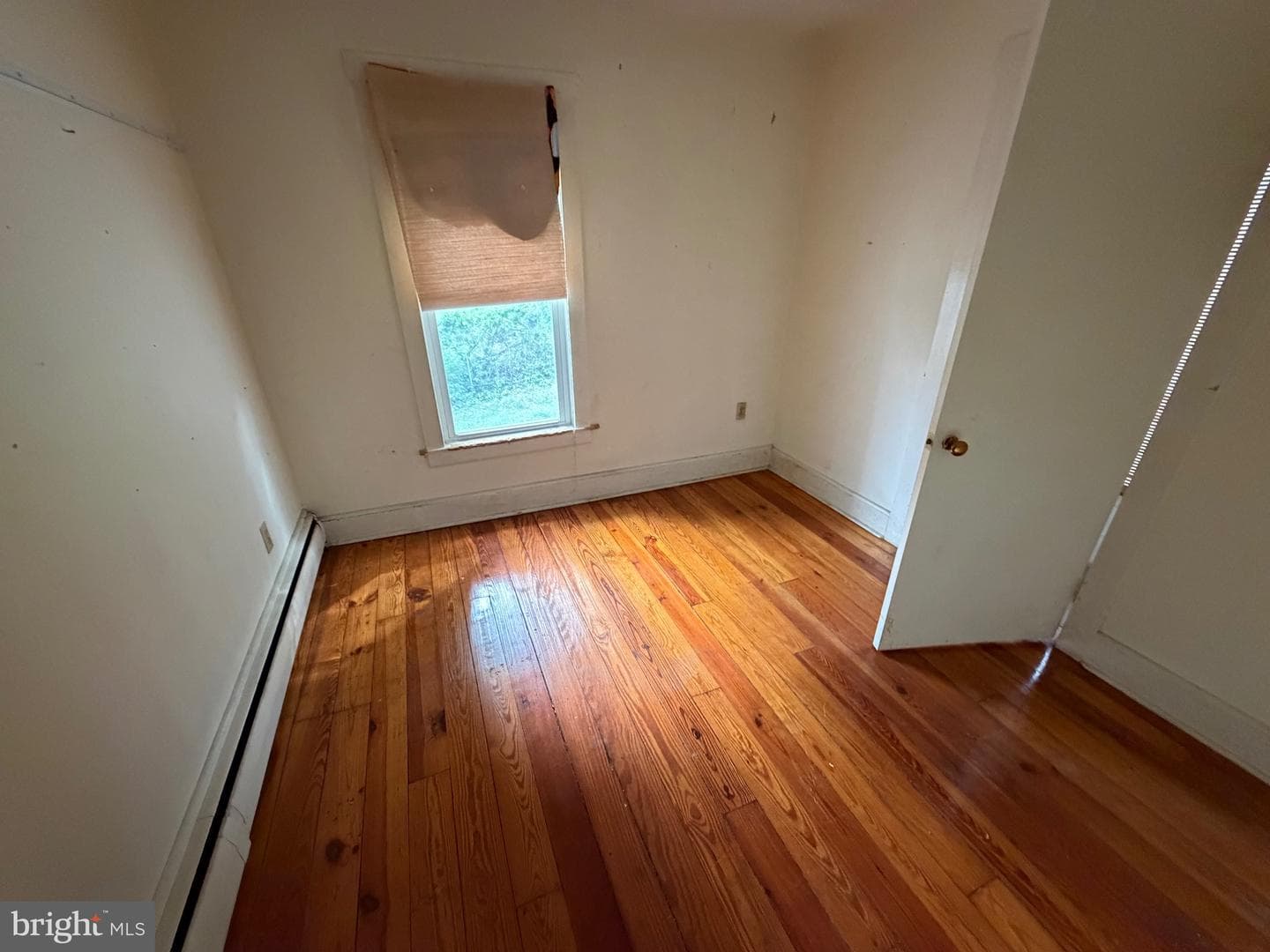 215 Hammond Street photo 12