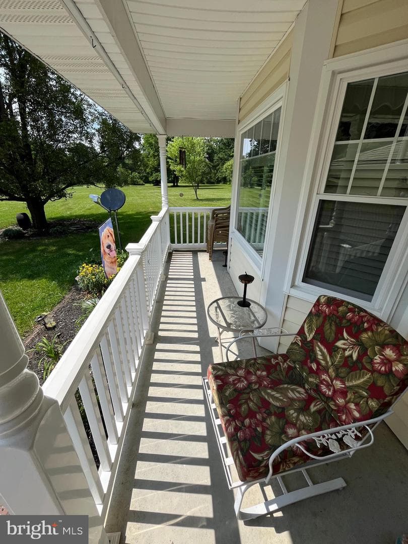 31 Wright Street photo 11