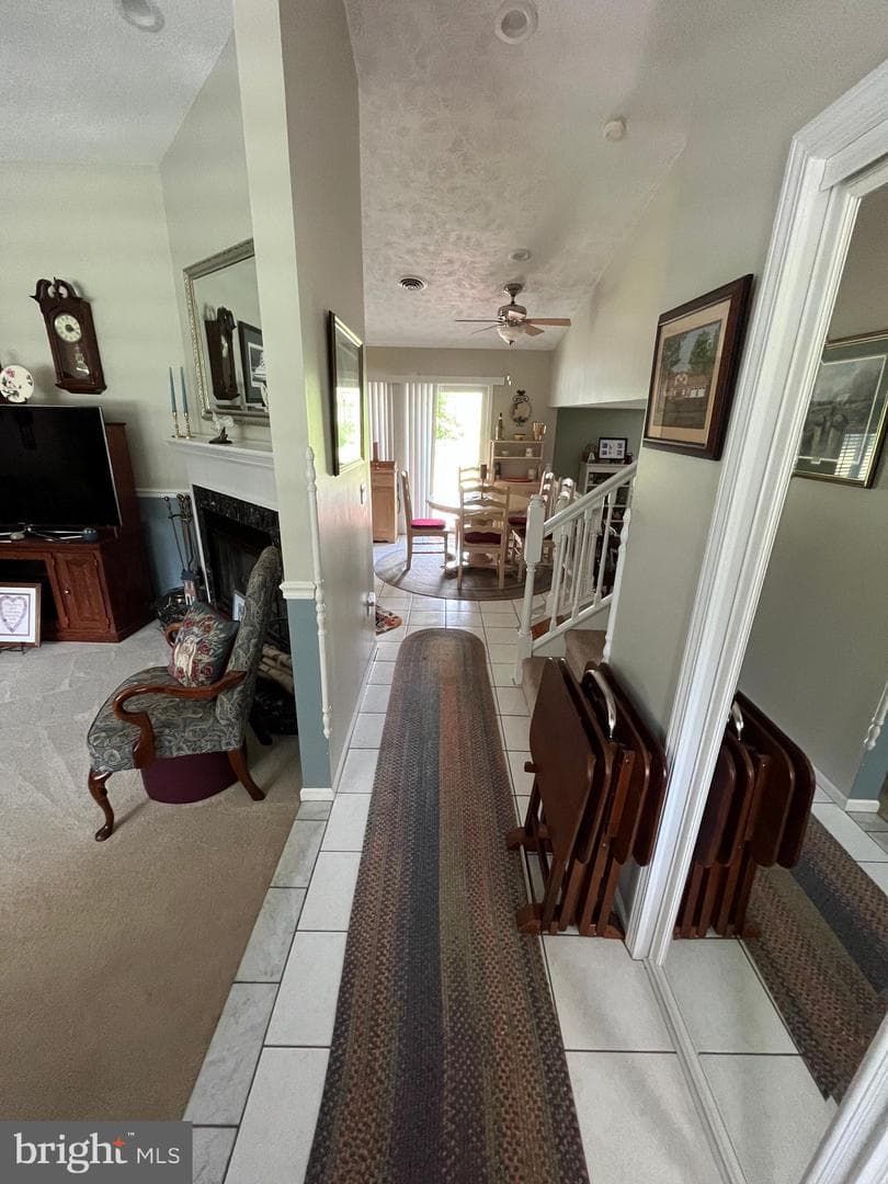 31 Wright Street photo 13