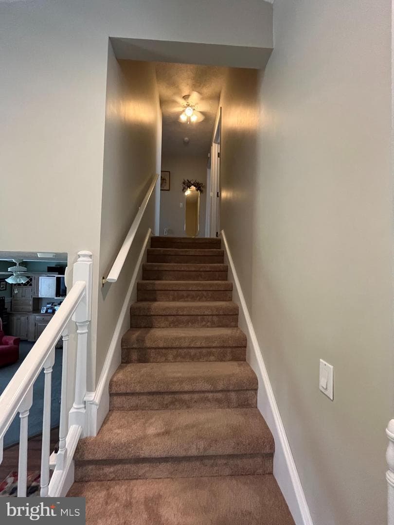 31 Wright Street photo 23