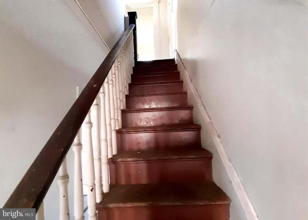 236 Glenn Street photo 6