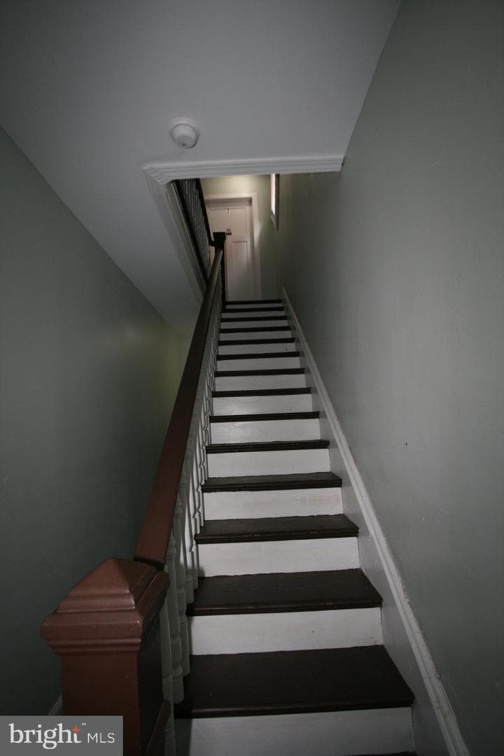 236 Glenn Street photo 67