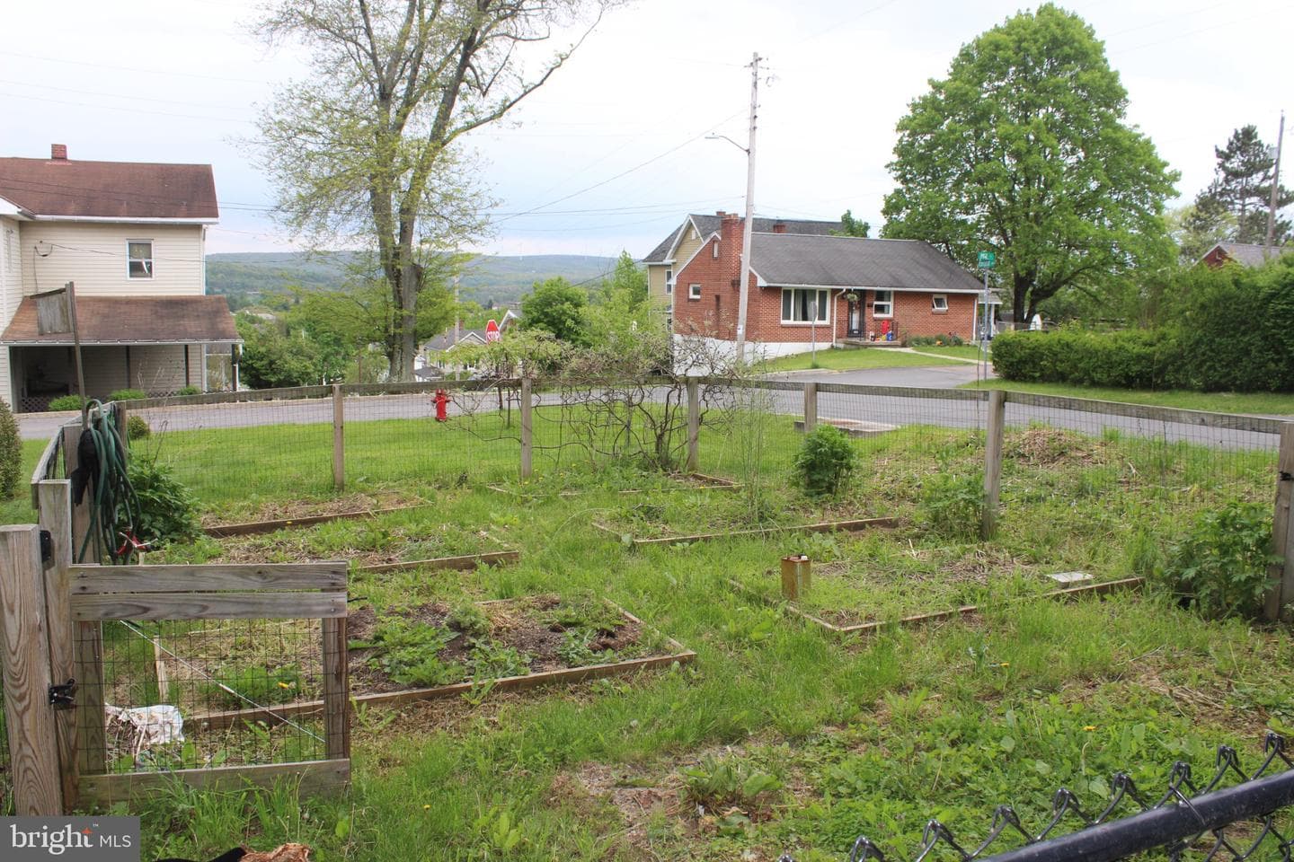 91 Pine Street photo 31
