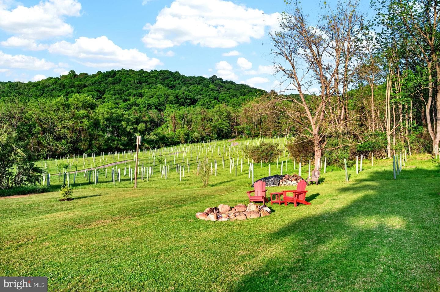 13400 Pleasant Valley Road photo 32
