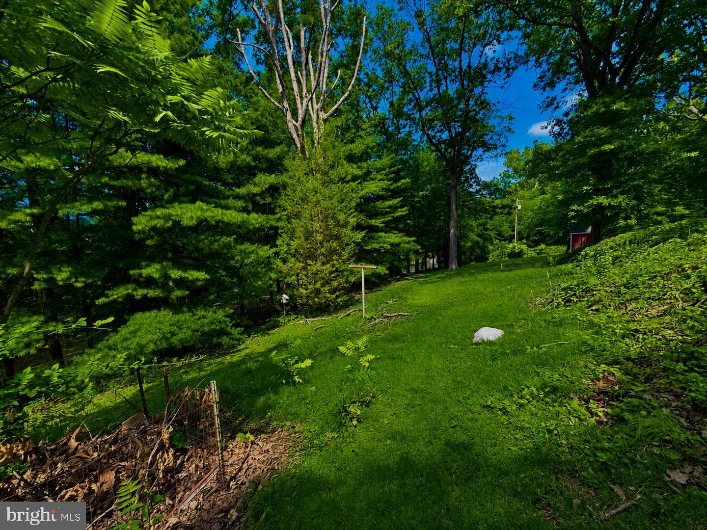 13311 Flower Street photo 27
