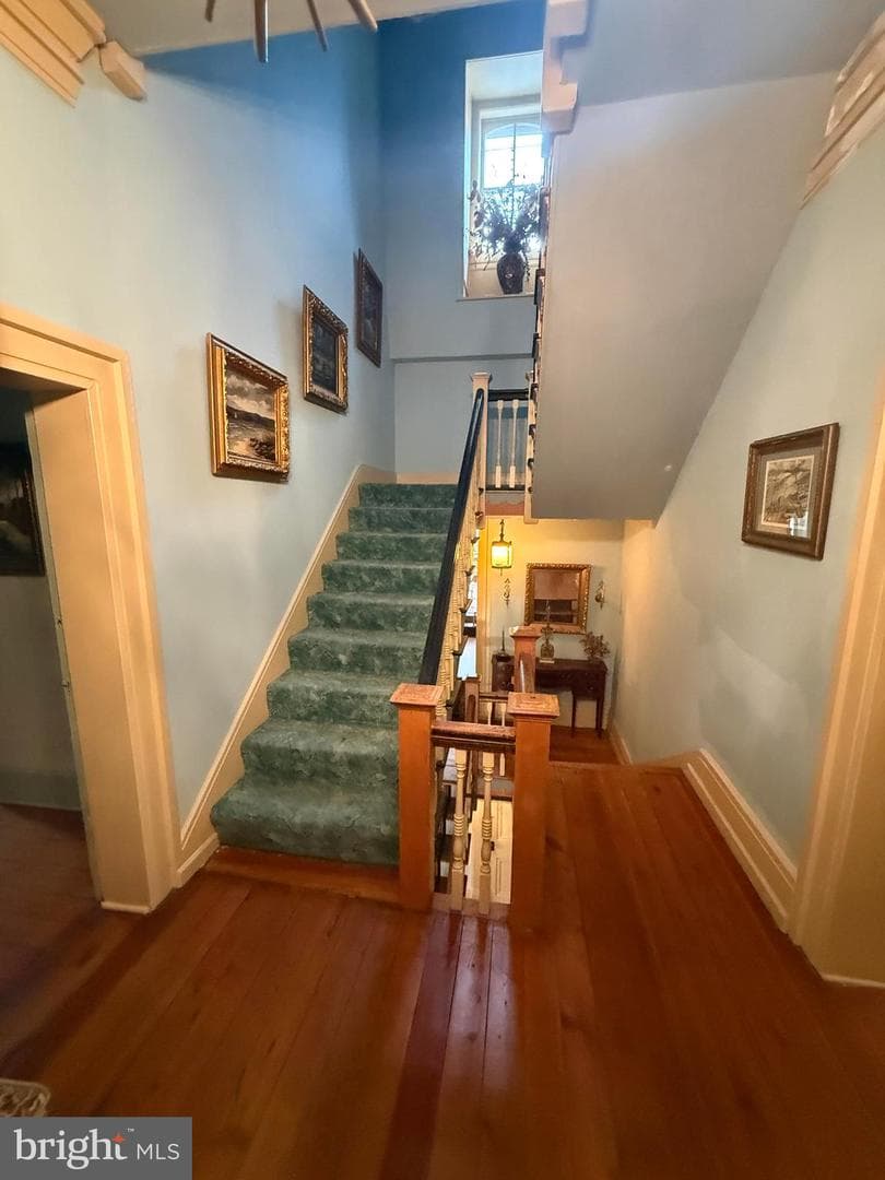 58 Frost Avenue photo 32