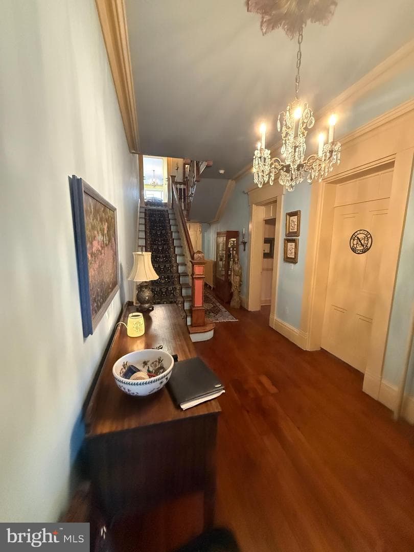 58 Frost Avenue photo 8