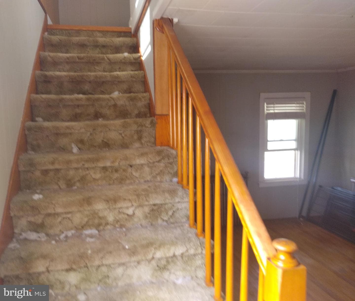 22 Davidson Street photo 22