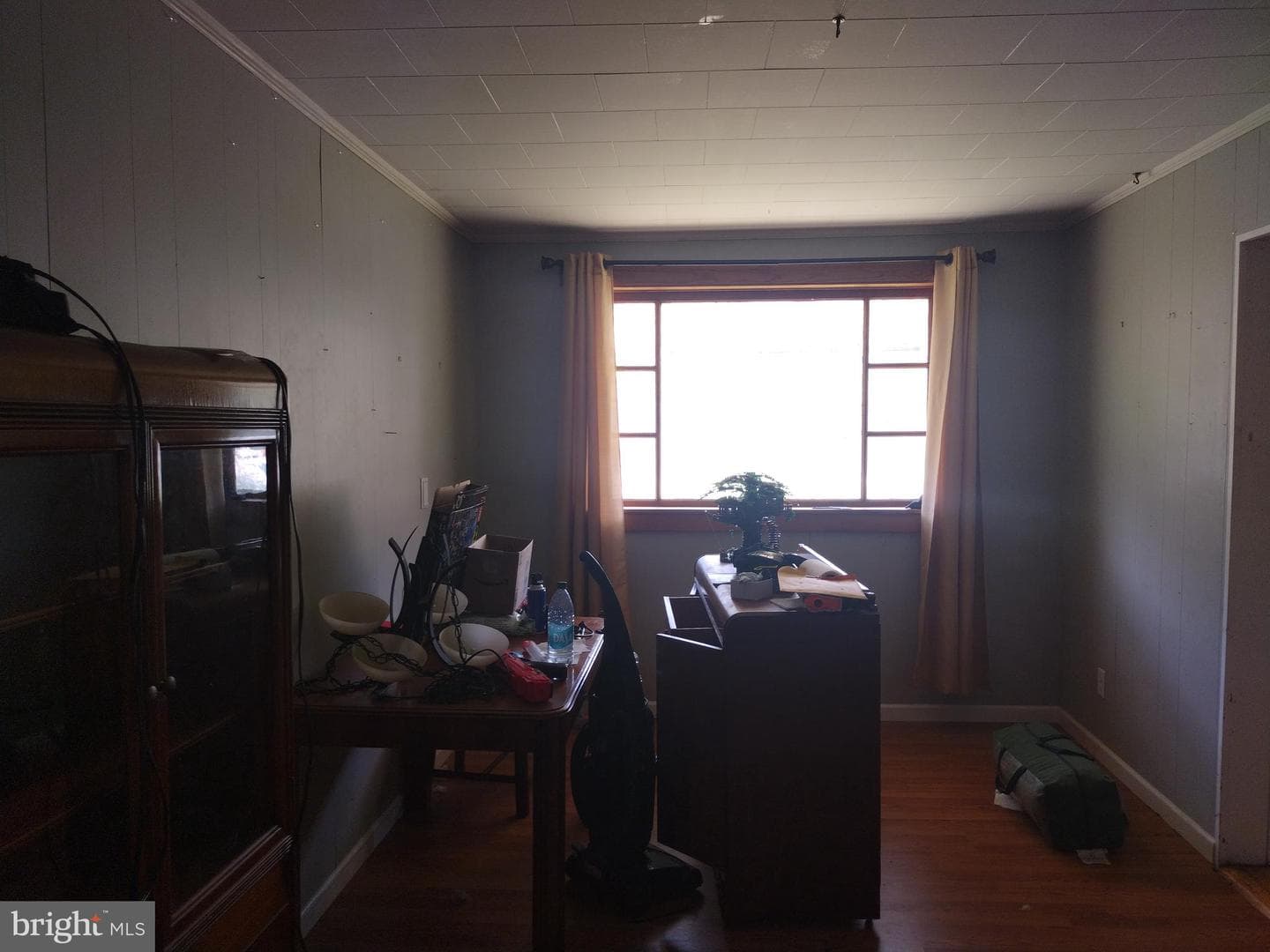 22 Davidson Street photo 27