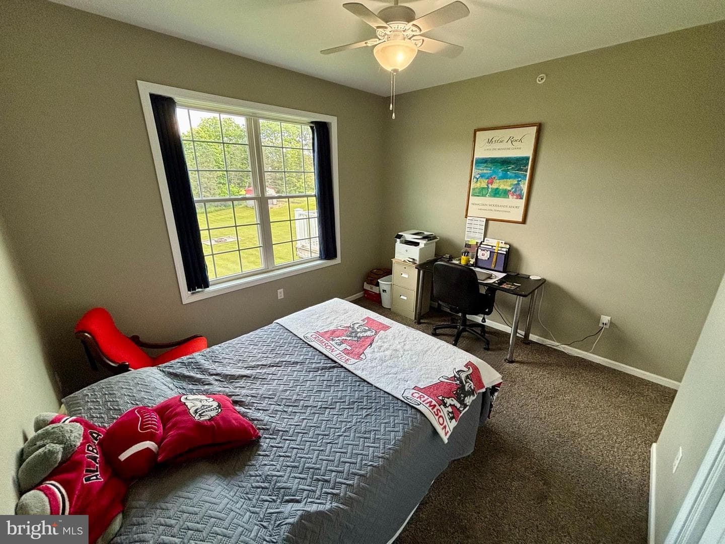 83 Graham Street photo 22