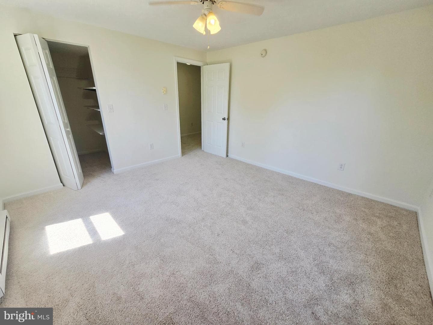 229 Carroll Street photo 16