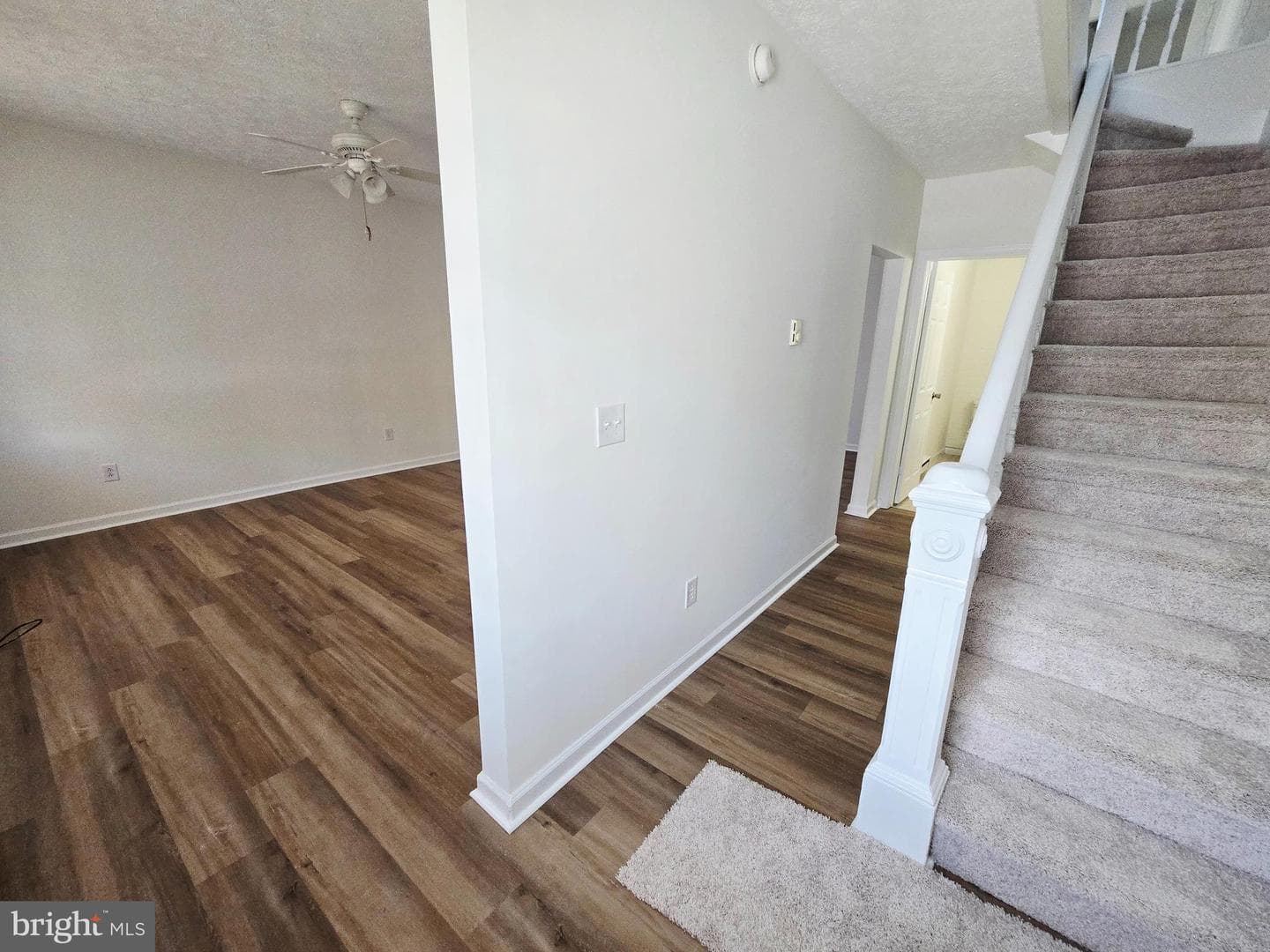 229 Carroll Street photo 4
