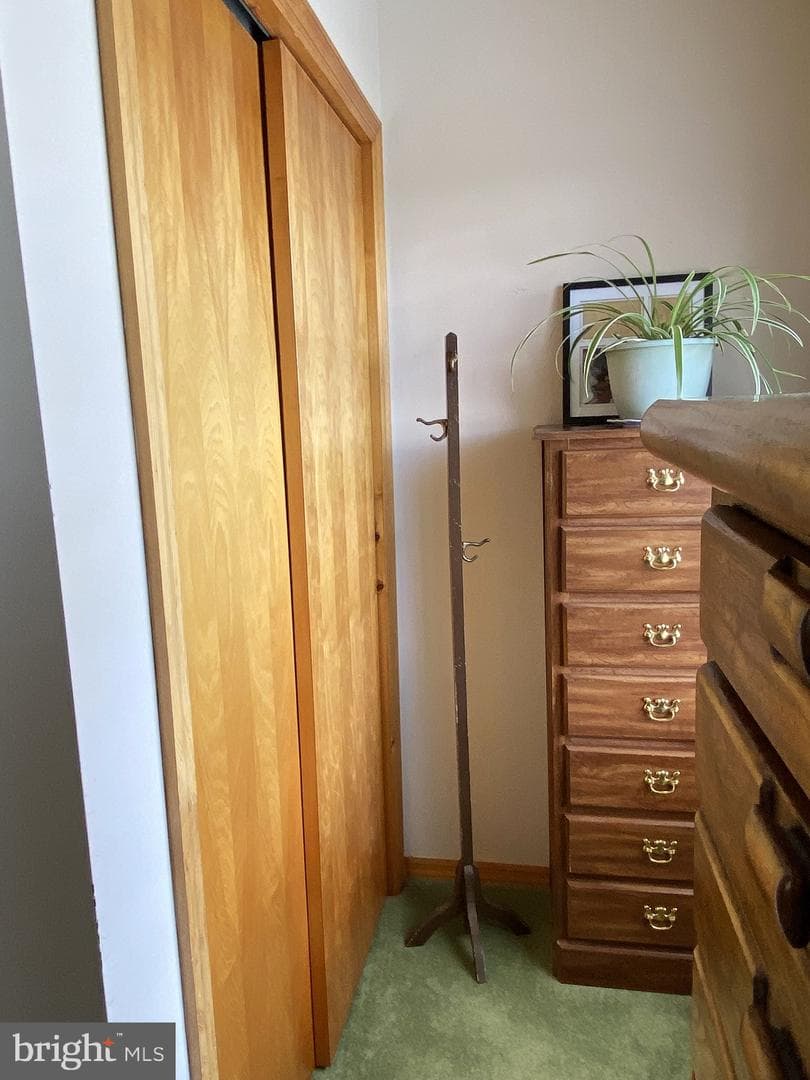 116 Kelley Avenue photo 41