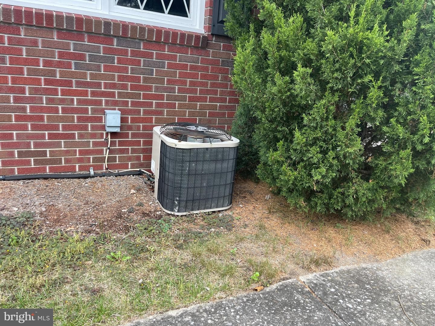 119 Wilmont Avenue photo 30