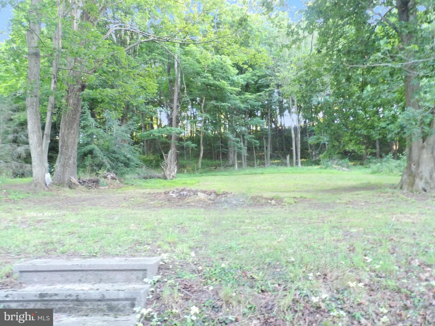 10613 Laurel Hill Drive SW photo 3