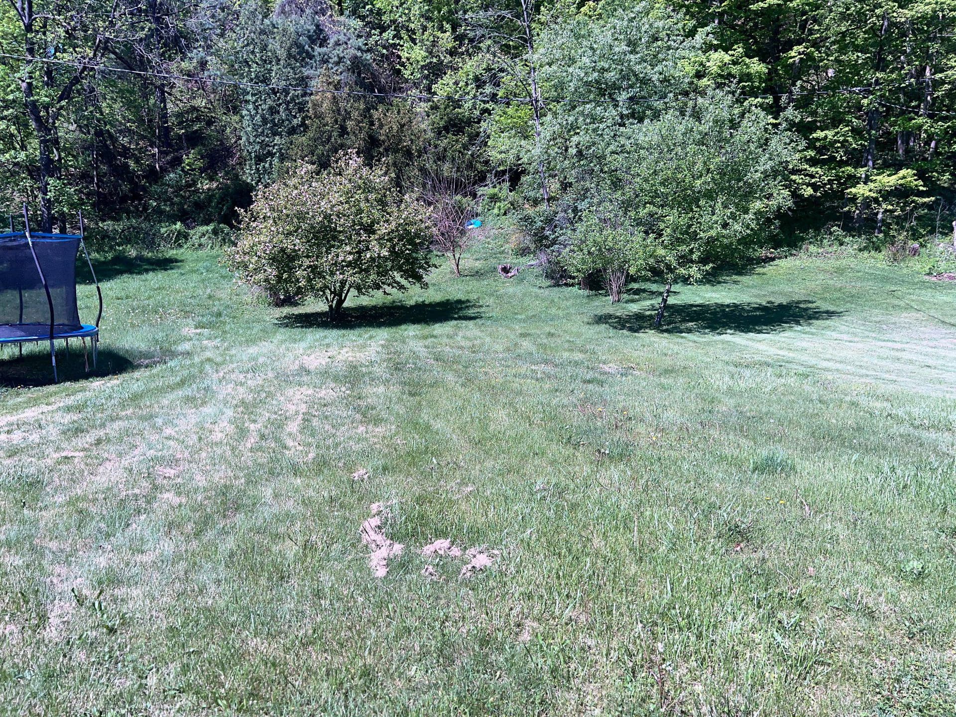 16410 Clarysville Road SW photo 19