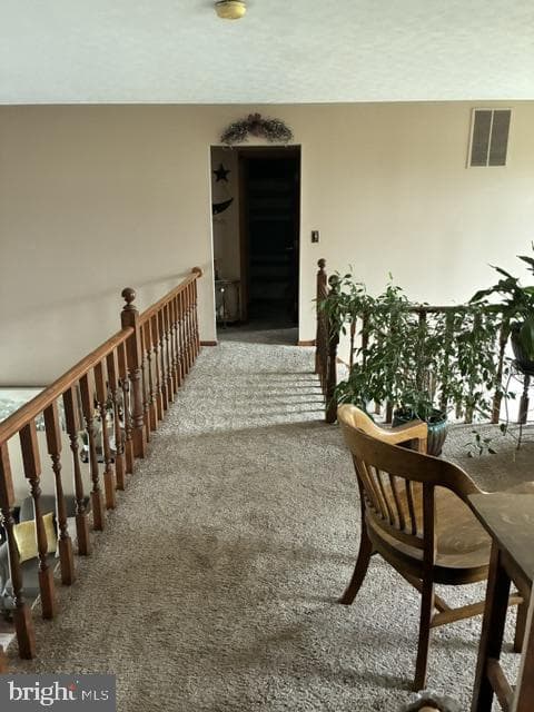 10115 Country View Lane photo 24