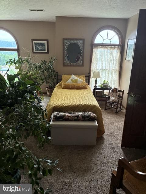 10115 Country View Lane photo 25