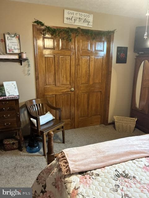 10115 Country View Lane photo 27