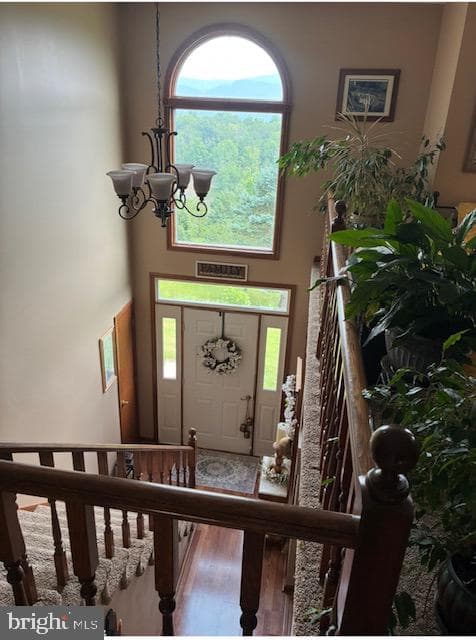 10115 Country View Lane photo 43