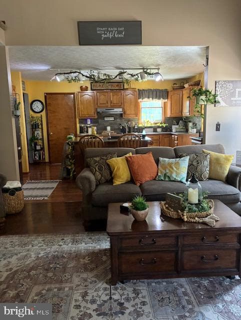 10115 Country View Lane photo 45