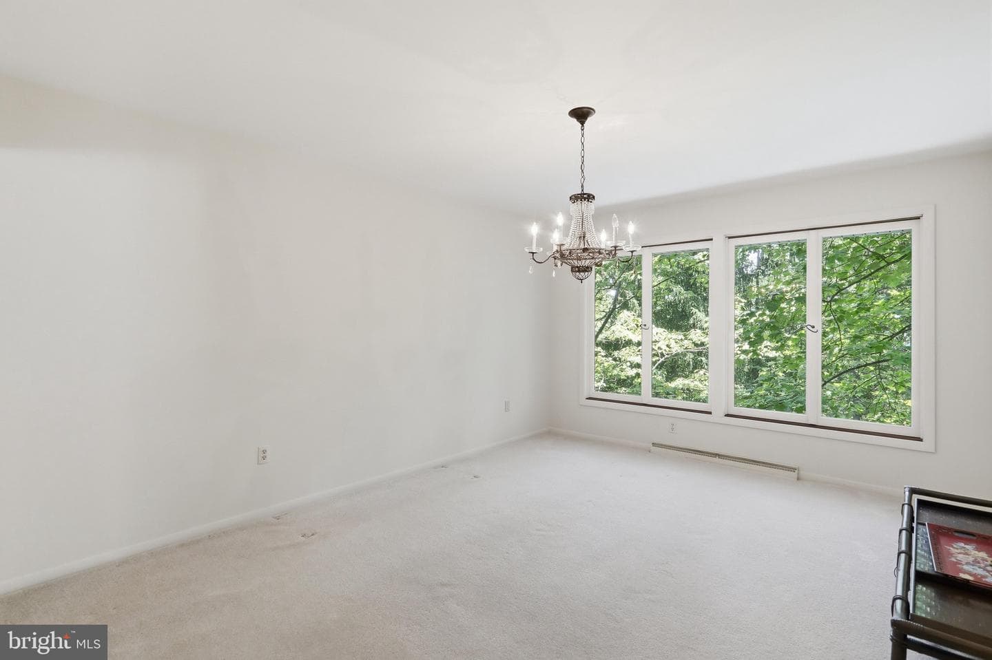 935 Dingle Park Drive photo 10