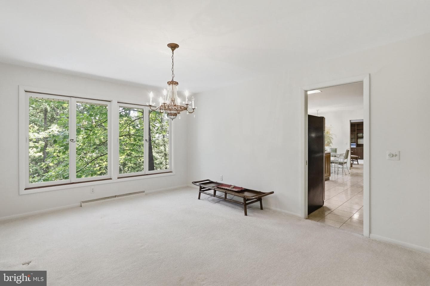 935 Dingle Park Drive photo 11