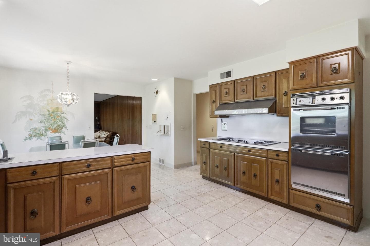 935 Dingle Park Drive photo 14