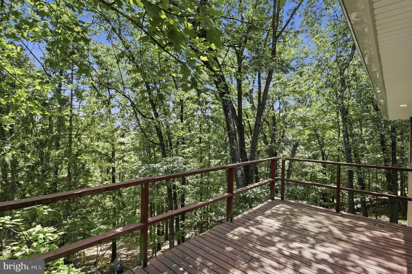935 Dingle Park Drive photo 20