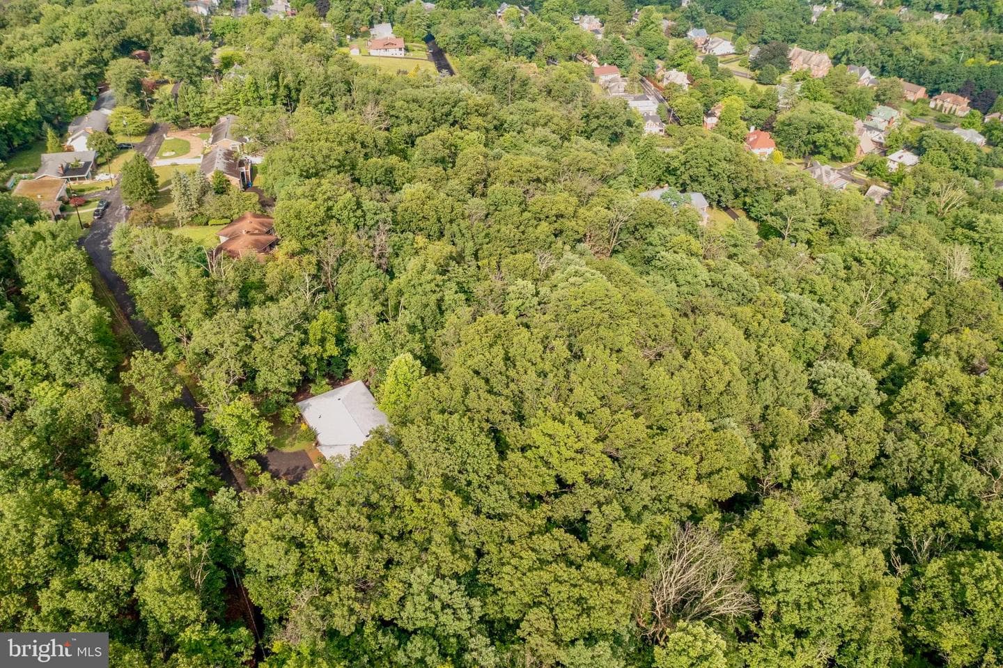 935 Dingle Park Drive photo 4