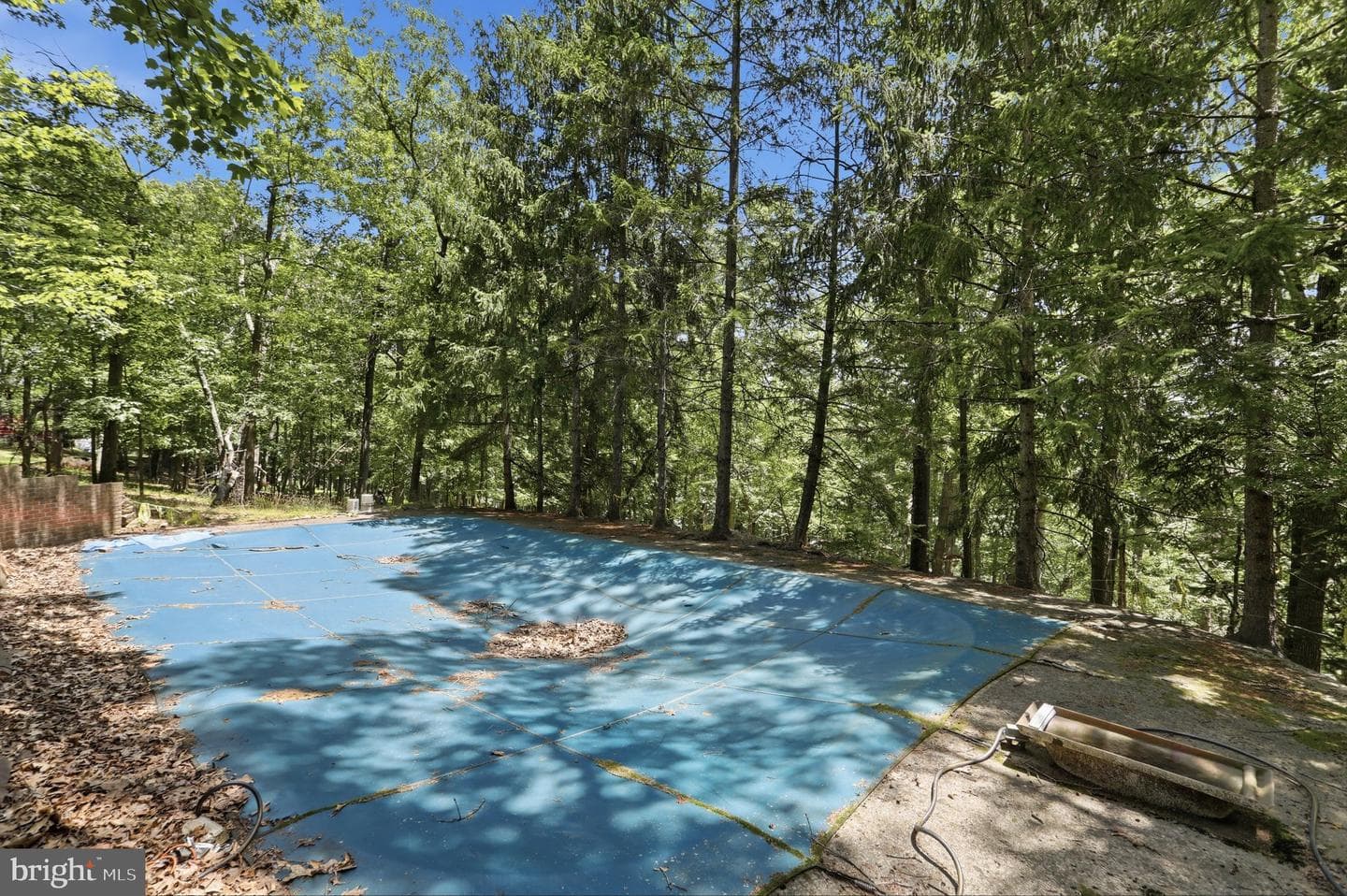 935 Dingle Park Drive photo 44