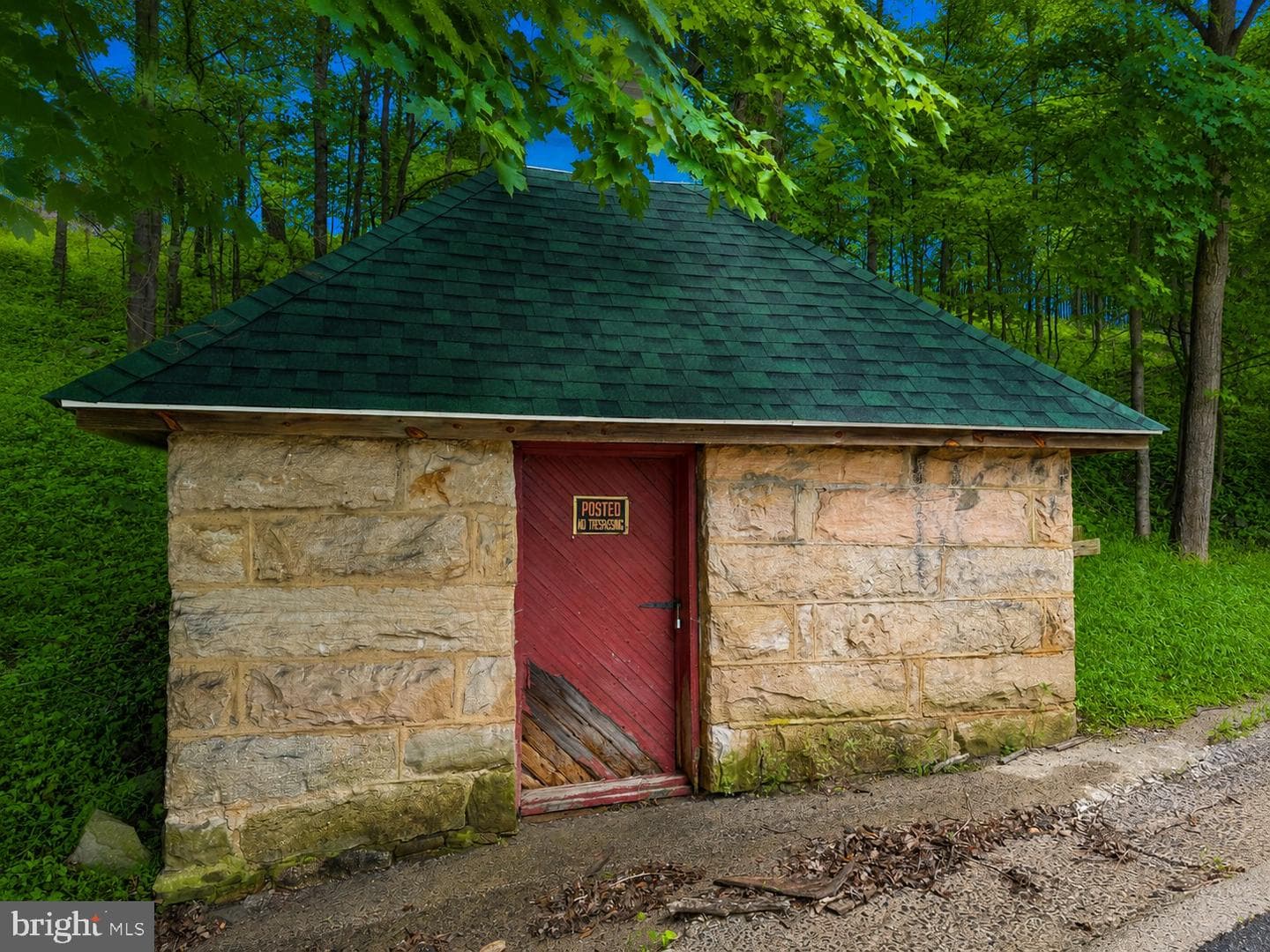 124 Riordan Road photo 41