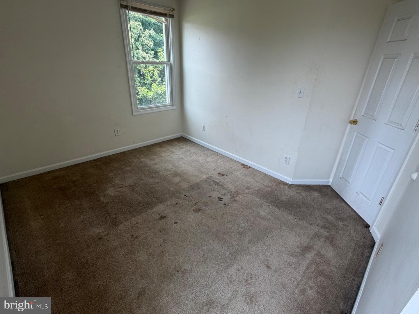 313 S Cedar Street photo 9
