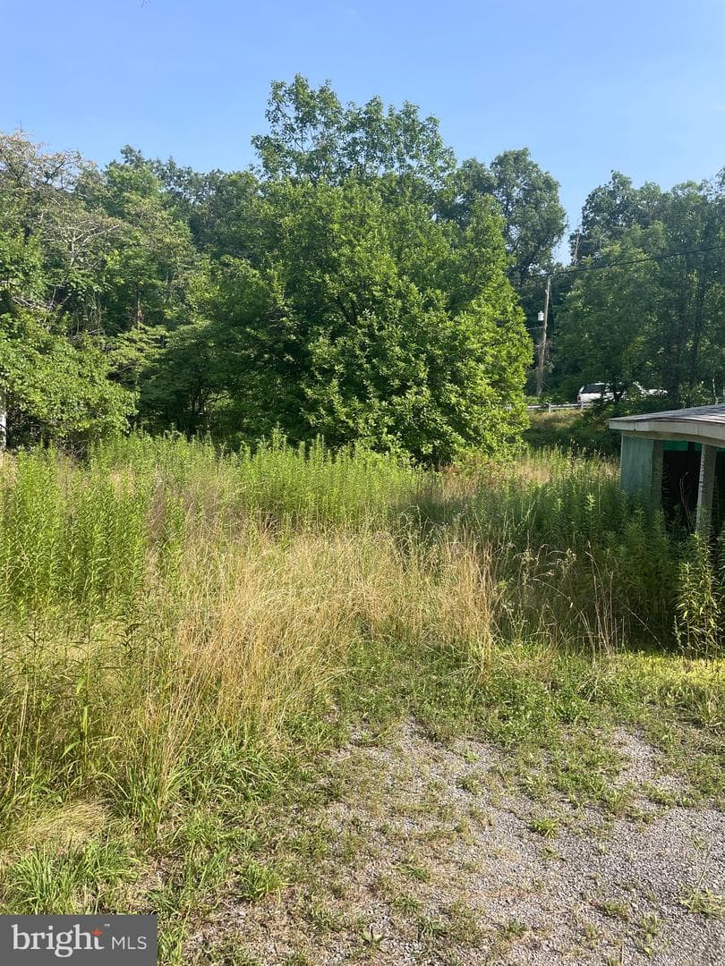 1147 Braddock Road photo 4