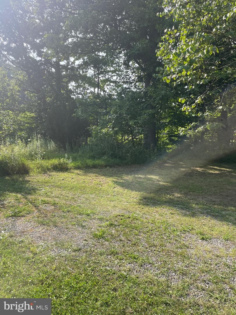 1147 Braddock Road photo 6