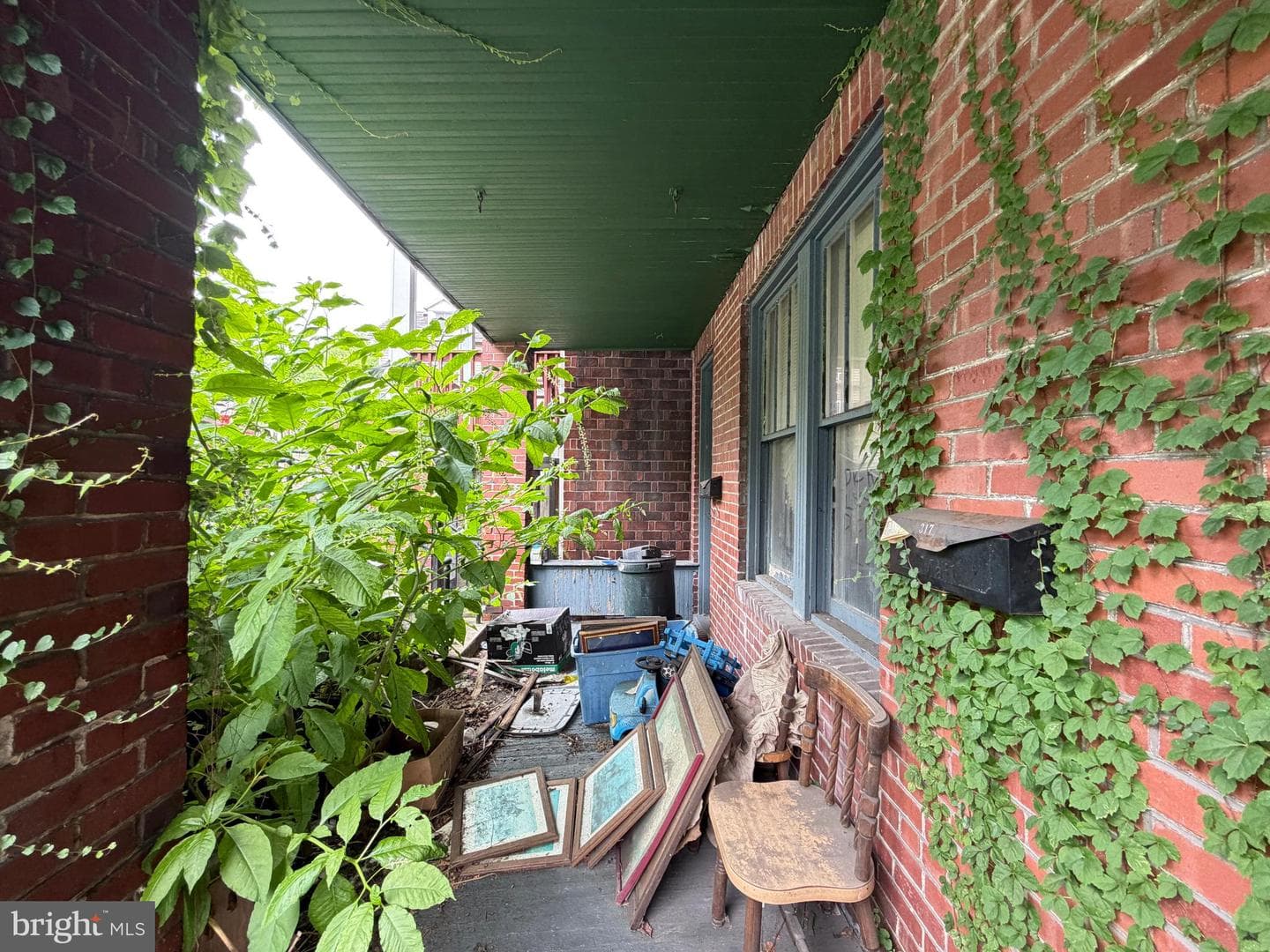 317 Williams Street photo 34