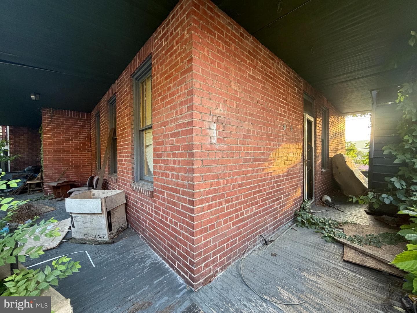 317 Williams Street photo 6