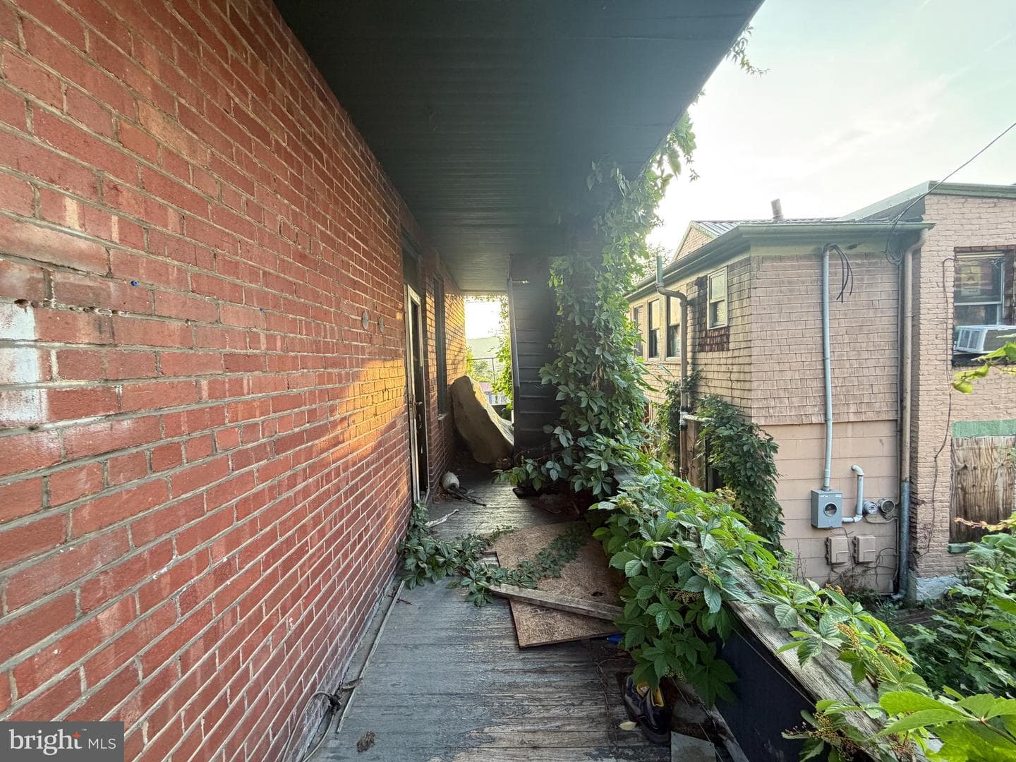 317 Williams Street photo 8