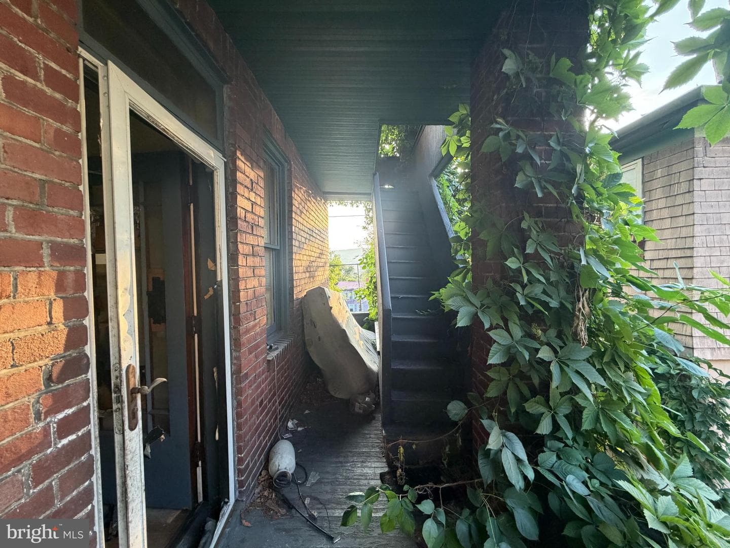 317 Williams Street photo 9