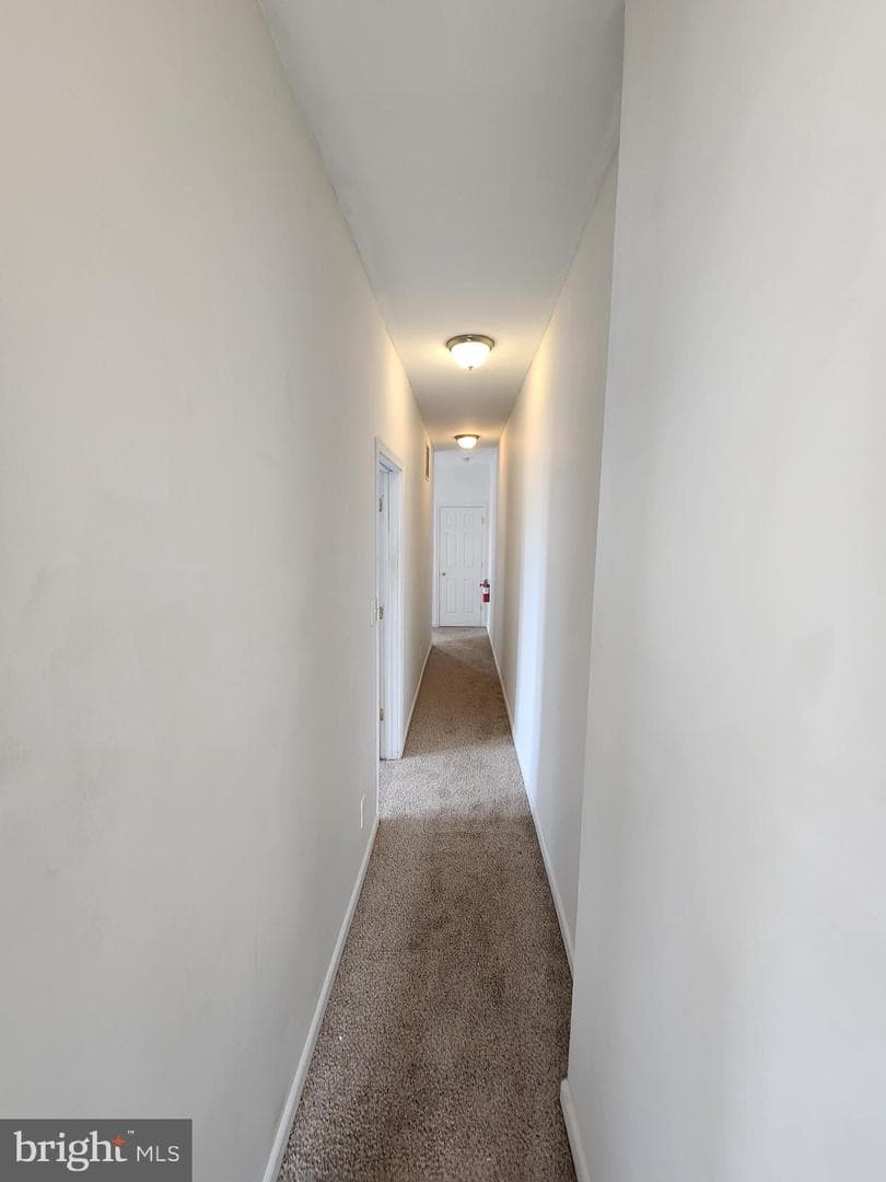 2431 Arunah Avenue photo 13