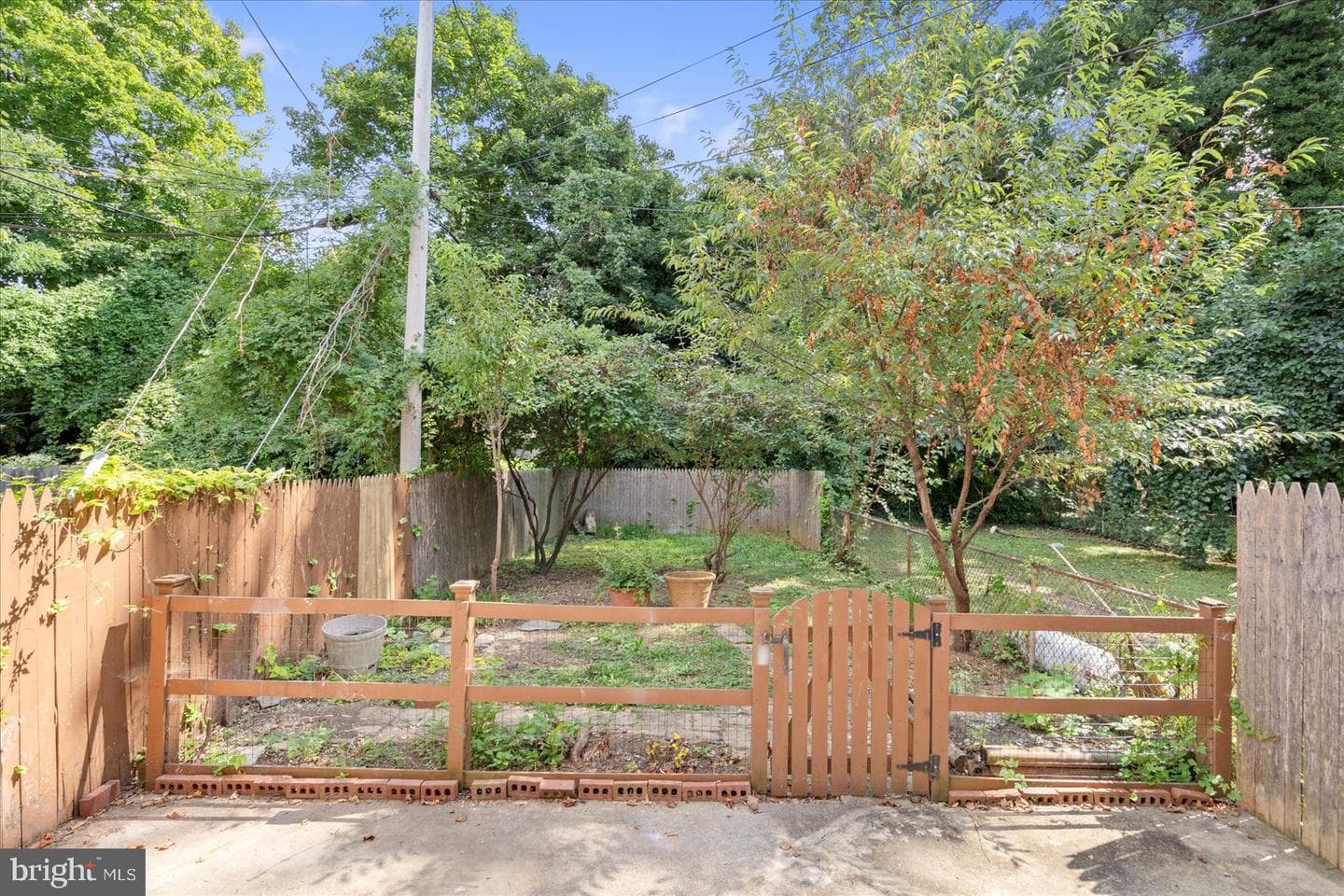 3919 Fairview Avenue photo 18