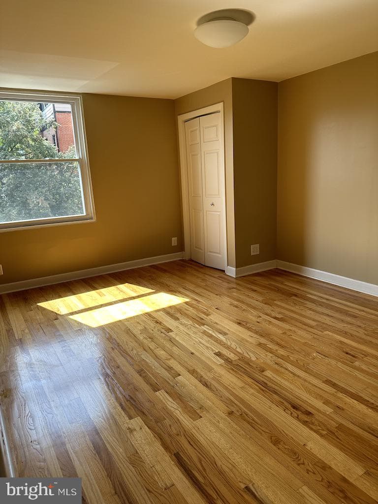 1101 Saint Paul Street #201 photo 23