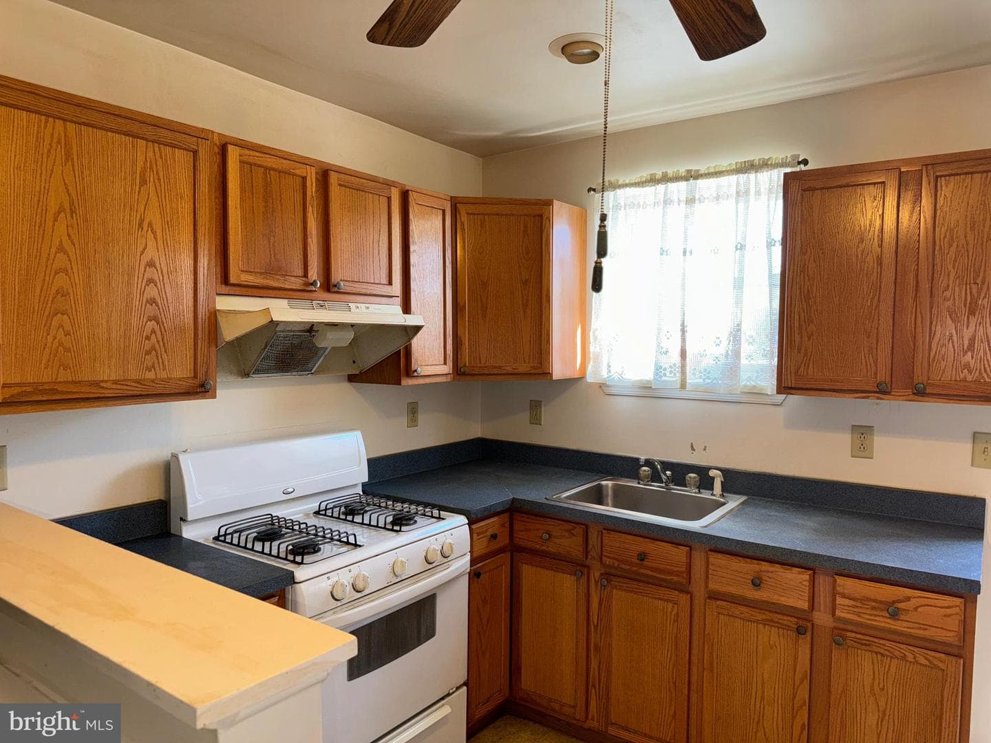 1231 Bayard Street photo 7